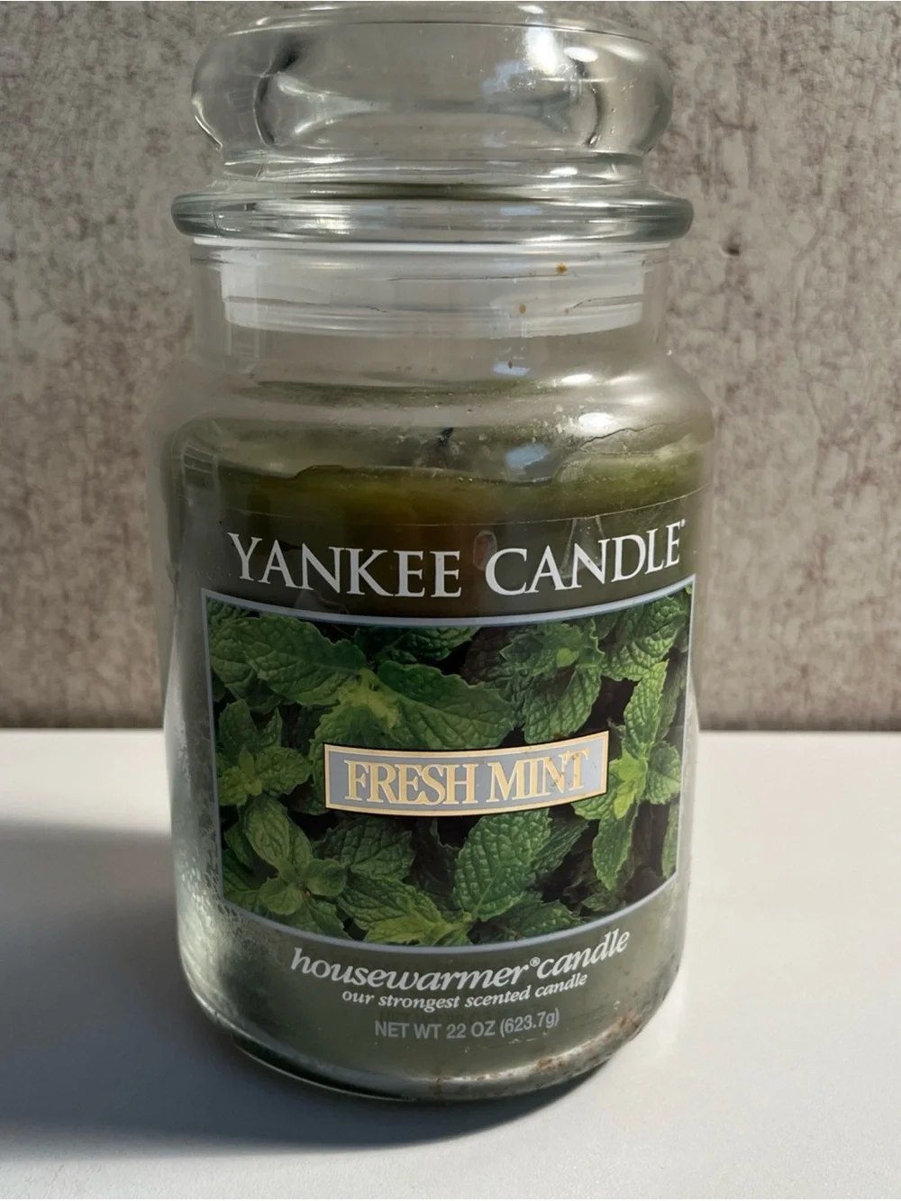 Yankee Candle Fresh Mint Retired Housewarmer Candle Large 22oz Green Single Wick